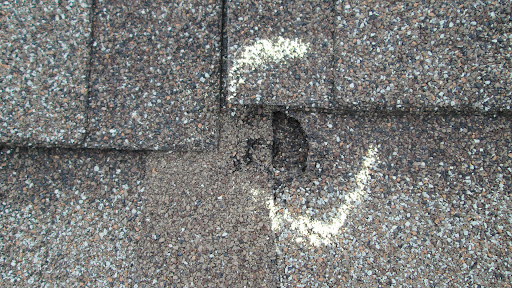 hail-bruised asphalt shingle with granule loss and exposed mat, Pueblo CO